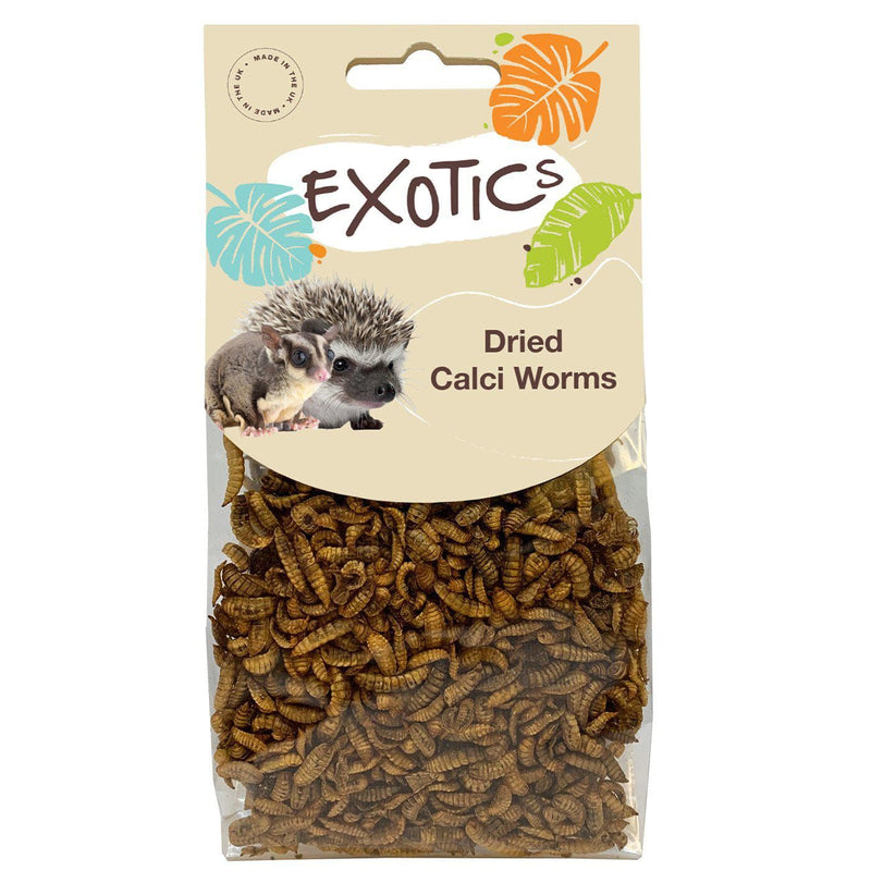 Natures Grub 50g Bag Exotics Dried Calci Worms