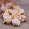 Natures Grub Fruit & Berry Popcorn Treat