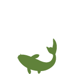 Kuro Koi
