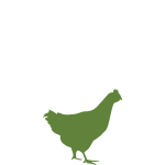 Poultry
