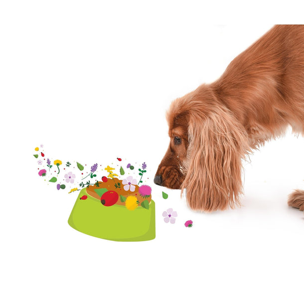 Super Nature Boosterz Super Skin Supplement 125g Natures Grub