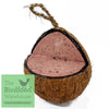Natures Grub Coconut Feeder Fruit & Berry Coconut Feeder