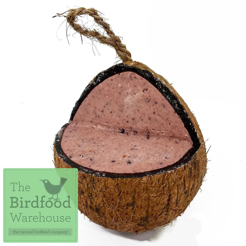 Natures Grub Coconut Feeder Fruit & Berry Coconut Feeder