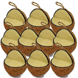 Natures Grub Coconut Feeder x 10 Smooth Peanut Coconut Feeder
