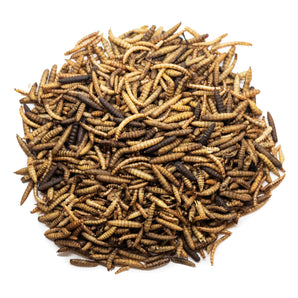 Natures Grub Love Wildlife Dried Mixed Worms 800g