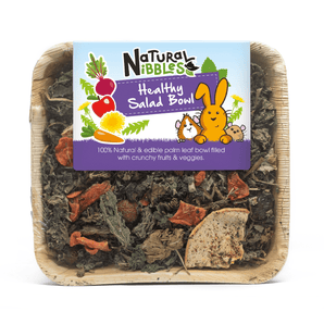 Natures Grub Natural Nibbles Healthy Salad Bowl 45g