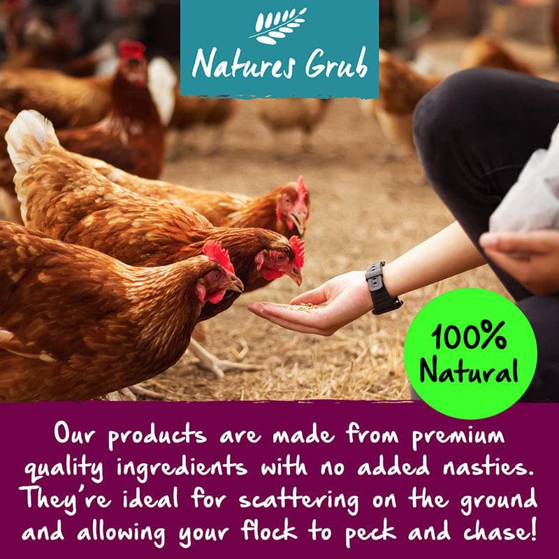 Natures Grub Poultry Boost - Herbal Tonic