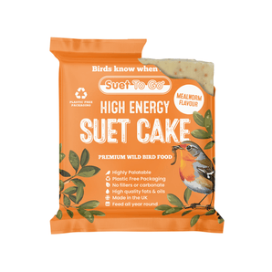 Suet To Go Suet Cake 1pk - Mealworm