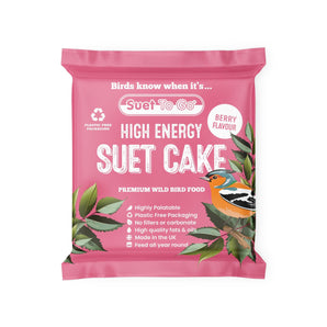 Suet To Go Suet Cakes 1pk - Berry