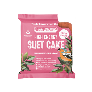 Suet To Go Suet Cakes 1pk - Berry