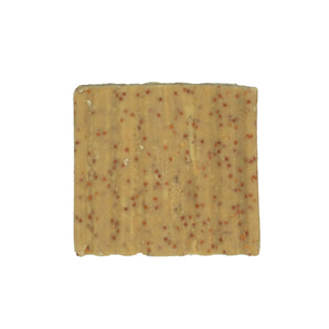 Suet To Go Suet Cakes 1pk - Insect