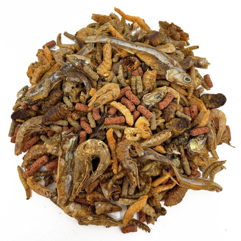 Natures Grub 2.5ltr Refill Bag (500g) Complete Turtle & Terrapin Food