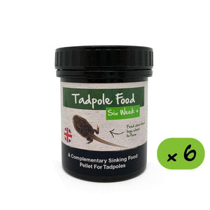 Natures Grub 6 x 80g Pot Tadpole Food - 6 Week+