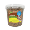 Natures Grub 800ml Tub (100g) Dried Mealworms