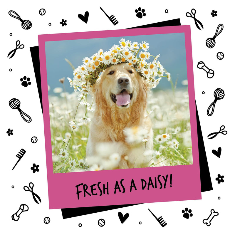 Natures Grub Bugalugs Baby Fresh Dog Cologne Spray