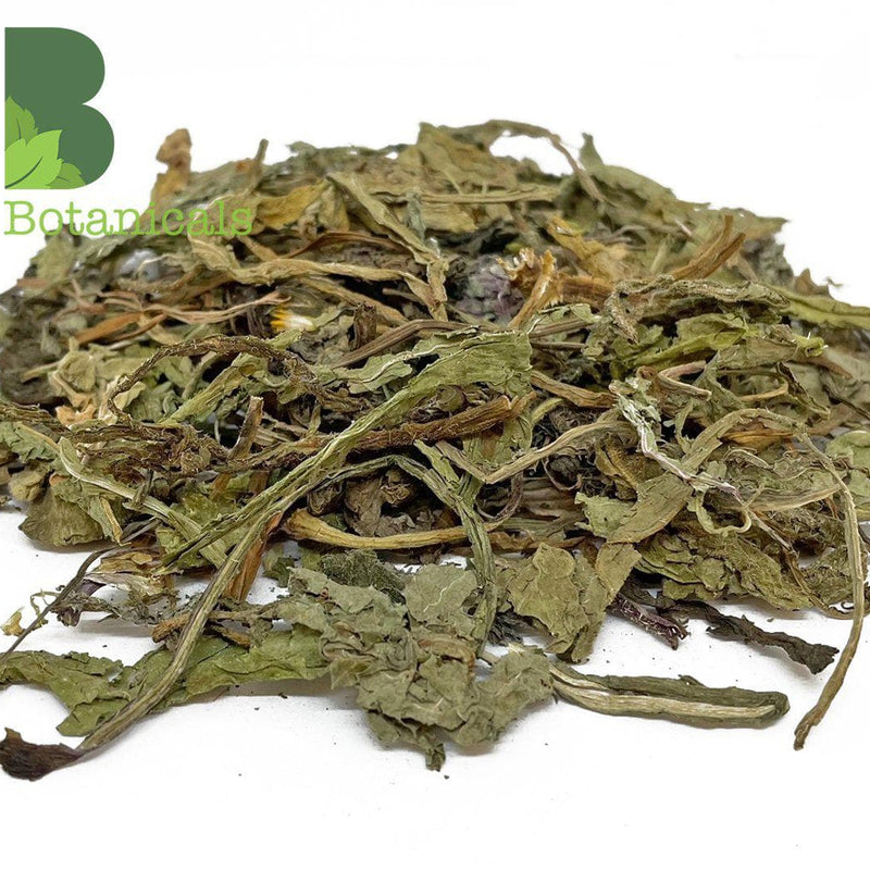 Natures Grub Dandelion Leaves - Standard