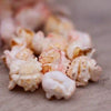 Natures Grub Fruit & Berry Popcorn Treat