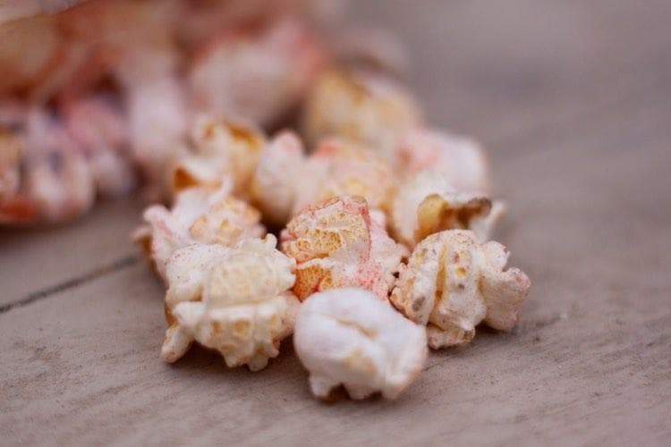 Natures Grub Fruit & Berry Popcorn Treat