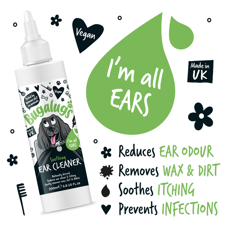 Natures Grub Giftset Bugalugs Doggy Essentials Giftset
