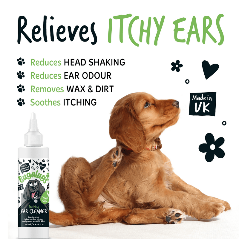 Natures Grub Giftset Bugalugs Doggy Essentials Giftset