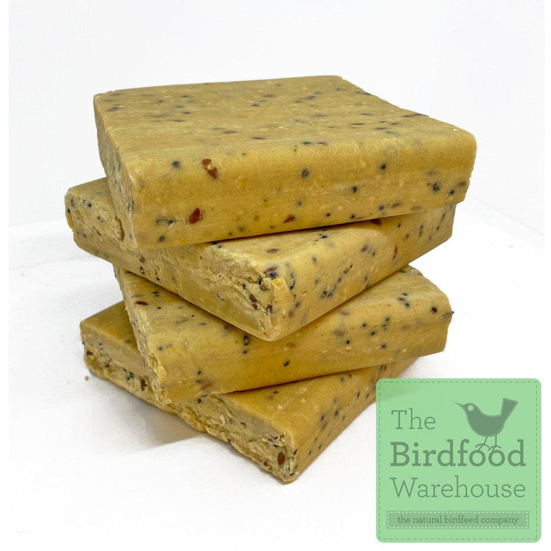 Natures Grub Premium Insect Suet Blocks